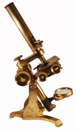A close-up of a microscope
Description automatically generated